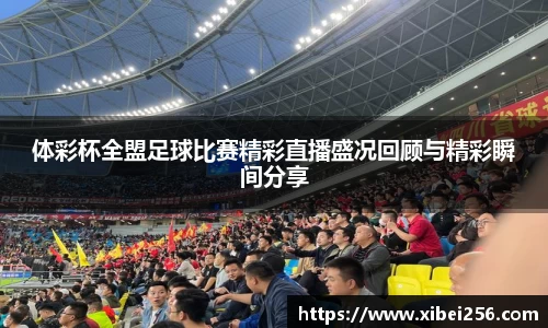 安信13娱乐