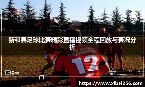安信15娱乐