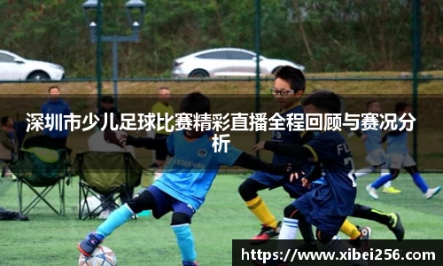 安信13娱乐