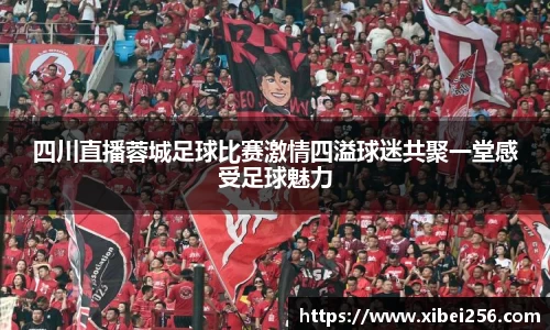 安信13娱乐