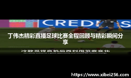 安信15娱乐