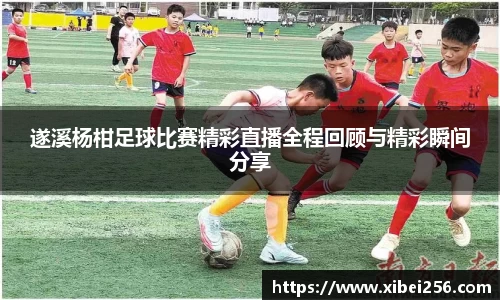 安信15娱乐
