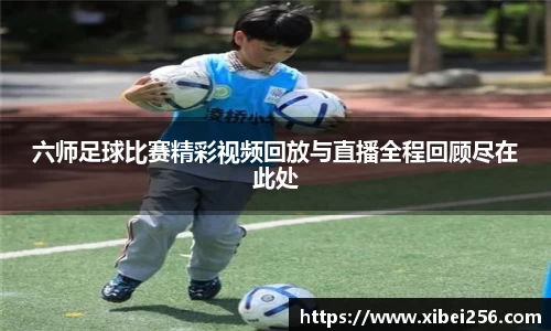 安信15娱乐