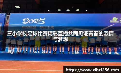 安信13娱乐