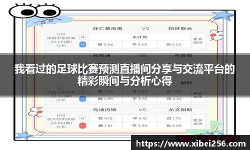 安信13娱乐