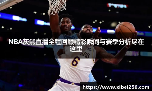 安信13娱乐