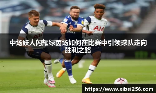 安信15娱乐