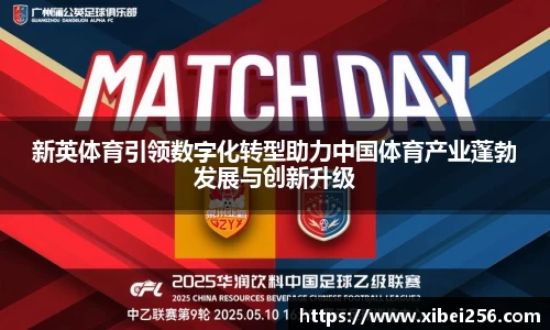 安信13娱乐