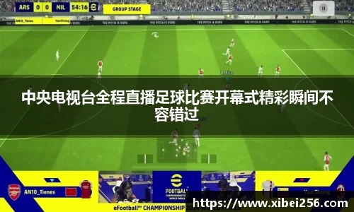 安信13娱乐